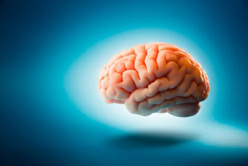 Mity na temat mózgu - 5 takich, które uważasz za prawdziwe