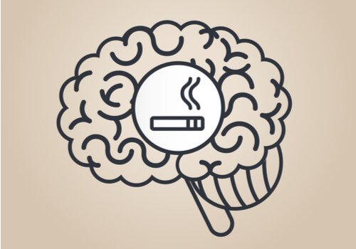 Nikotyna: z pewnością nie wiesz, jak wpływa ona na Twój mózg!