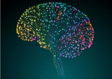 Human Connectome Project: naukowcy zdobywają coraz więcej wiedzy o mózgu