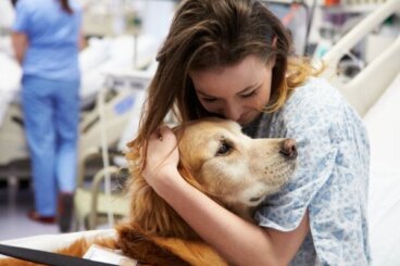 Terapia ze zwierzętami i jej zalety