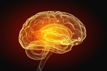 Schizofrenia i zaburzenia naczyniowe mózgu