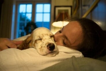 Spanie ze zwierzętami domowymi: korzyści i zagrożenia